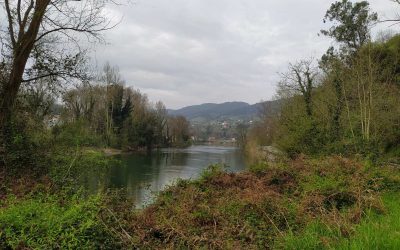 Paseo en bici 24.01.2021