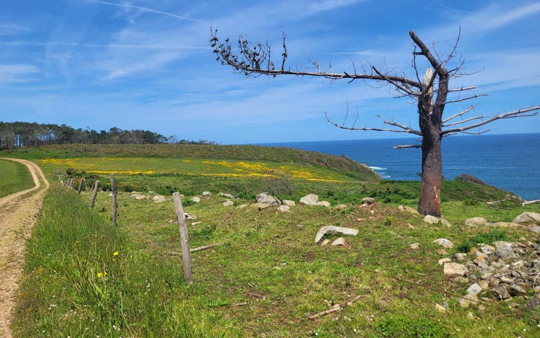 Circular por el LITORAL ASTURIANO en gravel, GR E-9 y Camino de…