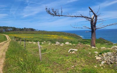 Riding along the ASTURIAN COAST on gravel, GR E-9 and the Way of…