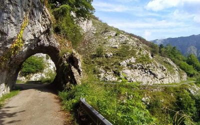 Gravel: Circular por Ponga
