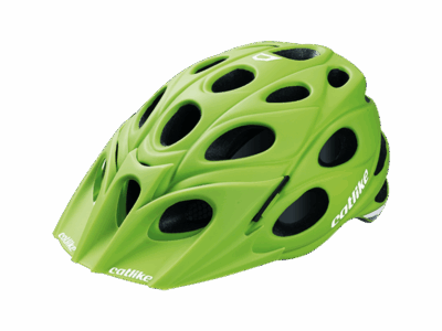 CATLIKE LEAF